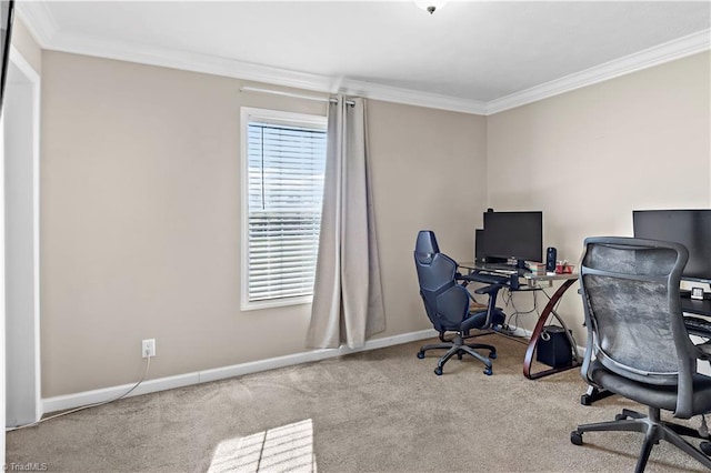 carpeted office space featuring ornamental molding