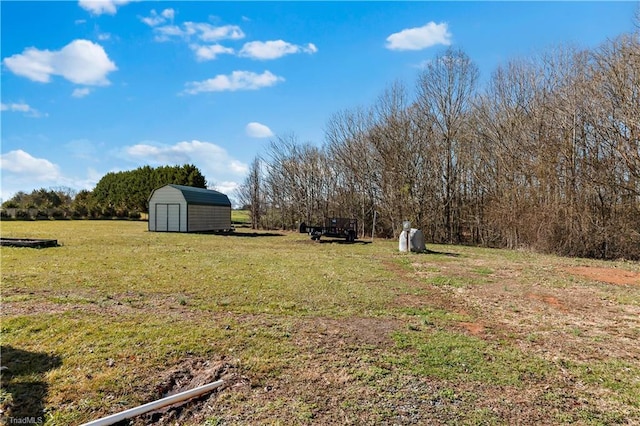 view of yard with a storage unit