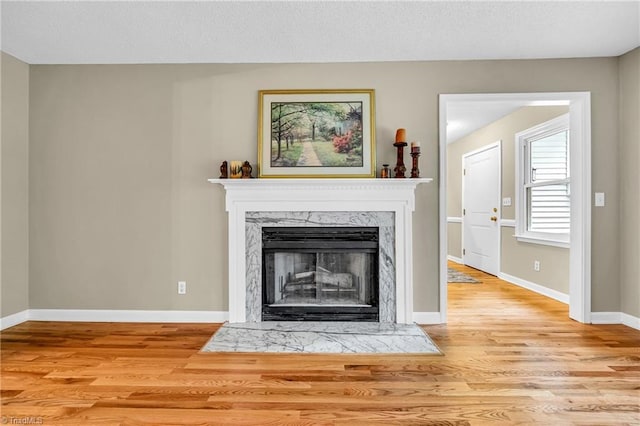 detailed view of wood finished floors, a premium fireplace, and baseboards