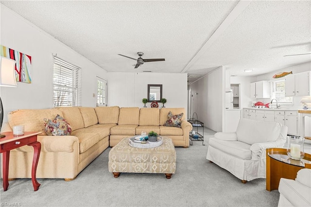 carpeted living room featuring sink, a textured ceiling, and ceiling fan