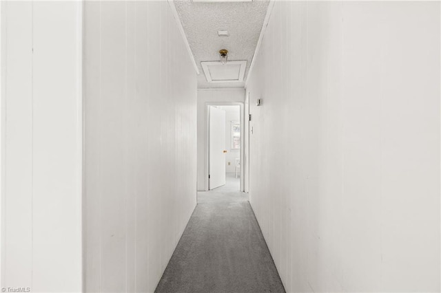 corridor featuring carpet floors, a textured ceiling, and wood walls