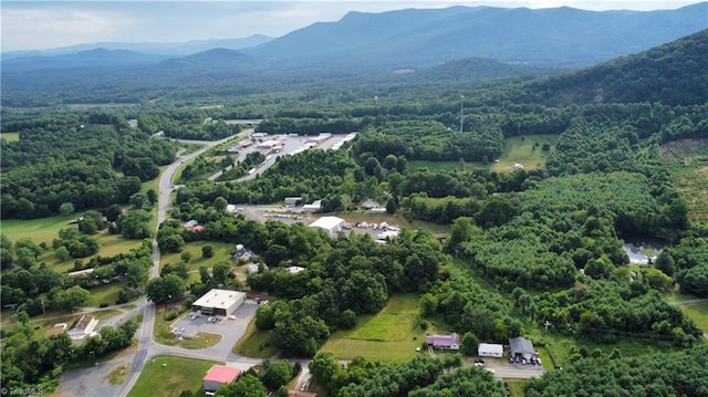 birds eye view of property featuring a mountain view