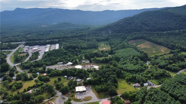 bird's eye view with a mountain view