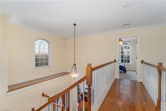 hall with wood-type flooring and crown molding