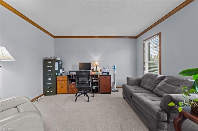 home office with ornamental molding, carpet flooring, and a textured ceiling