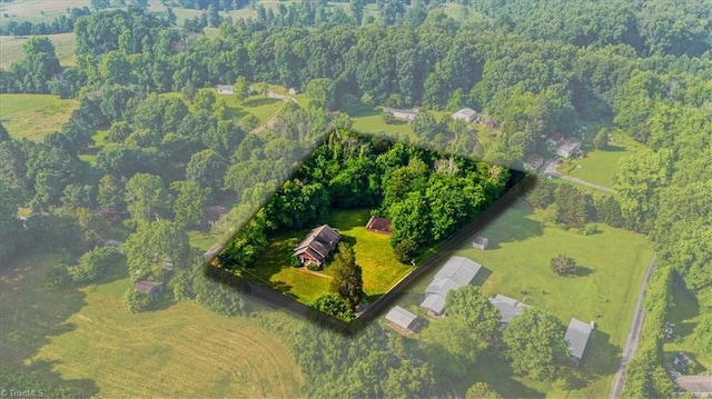 3608 Bernie Rd, Climax, NC 27233 - drone / aerial view of a heavily wooded area