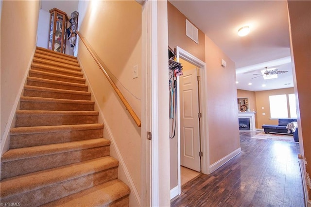 staircase featuring hardwood / wood-style floors and ceiling fan