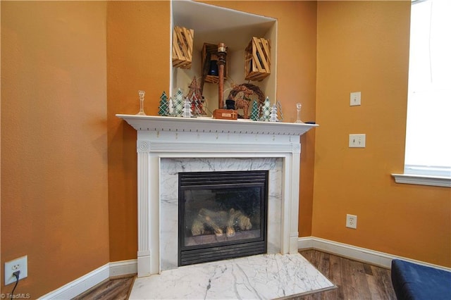 room details with a premium fireplace and wood-type flooring