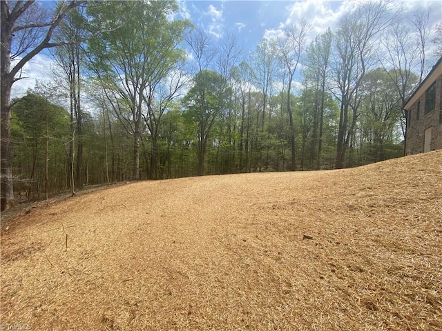 view of local wilderness