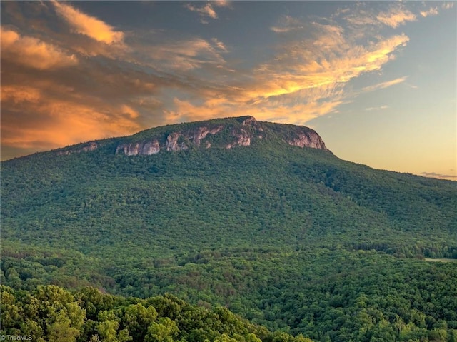1215 Single Tree Rd, Westfield, NC 27016 - mountain view with a forest