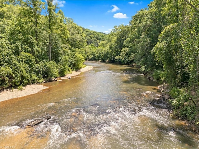 1215 Single Tree Rd, Westfield, NC 27016 - water view featuring a forest