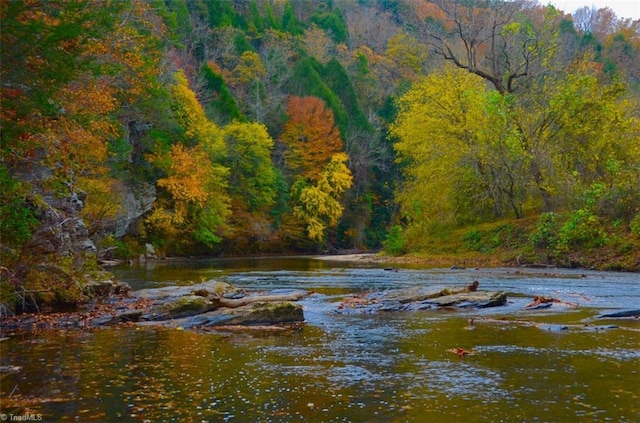 1215 Single Tree Rd, Westfield, NC 27016 - water view featuring a heavily wooded area