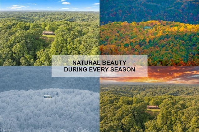 1215 Single Tree Rd, Westfield, NC 27016 - detailed view of a heavily wooded area