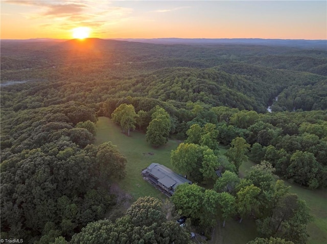 1215 Single Tree Rd, Westfield, NC 27016 - bird's eye view of a heavily wooded area