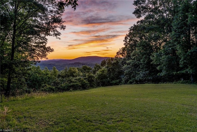 1215 Single Tree Rd, Westfield, NC 27016 - view of mountain backdrop