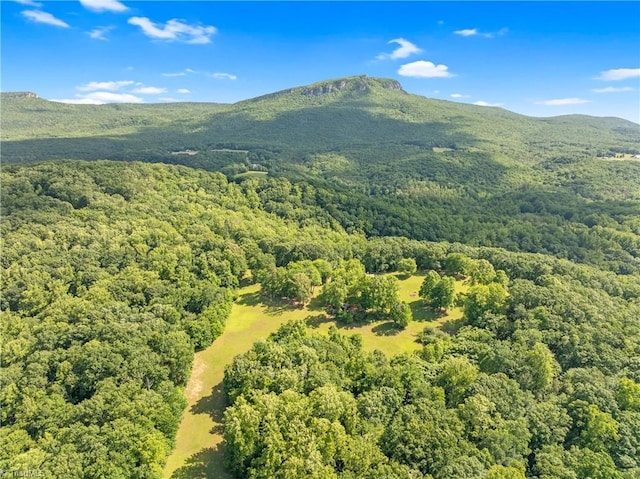 1215 Single Tree Rd, Westfield, NC 27016 - bird's eye view of a forest and mountains