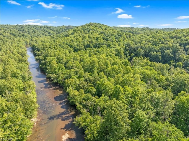 1215 Single Tree Rd, Westfield, NC 27016 - drone / aerial view of a heavily wooded area