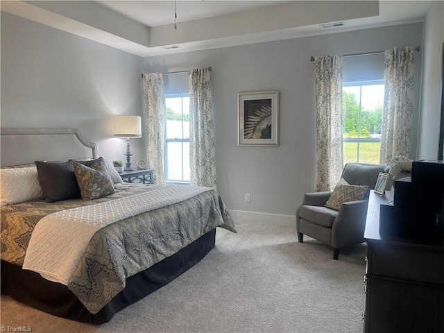 213 Cason Dr, Gibsonville, NC 27249 - carpeted bedroom with multiple windows, a raised ceiling, and baseboards
