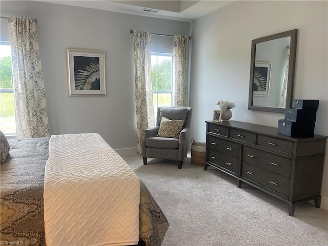 213 Cason Dr, Gibsonville, NC 27249 - bedroom with light carpet and baseboards