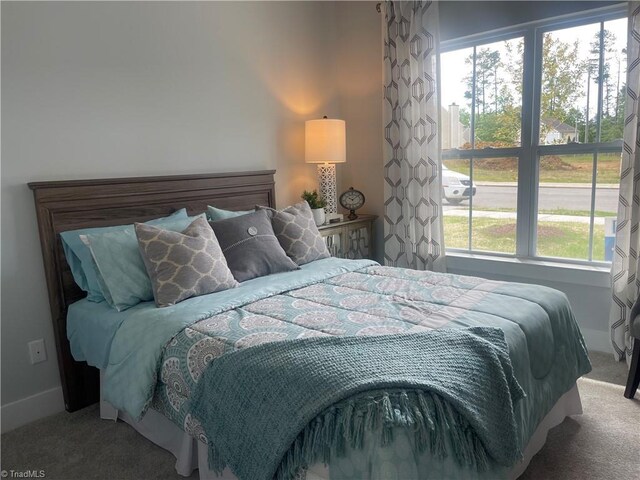 213 Cason Dr, Gibsonville, NC 27249 - carpeted bedroom featuring baseboards