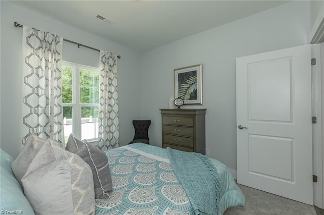 213 Cason Dr, Gibsonville, NC 27249 - bedroom with carpet flooring