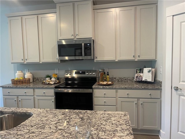 213 Cason Dr, Gibsonville, NC 27249 - kitchen with stainless steel microwave, electric stove, and light stone countertops