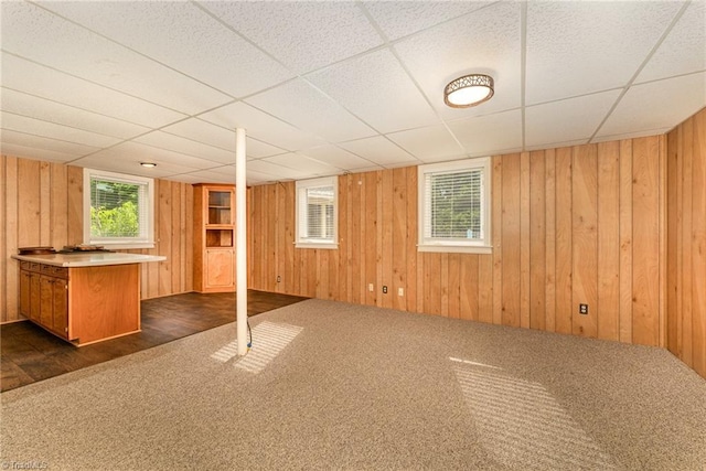 657 Spring St, Walnut Cove, NC 27052 - basement featuring dark carpet, plenty of natural light, and wood walls