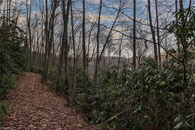 Listing photo 3 for TBD Parsonsville Rd, Purlear NC 28665