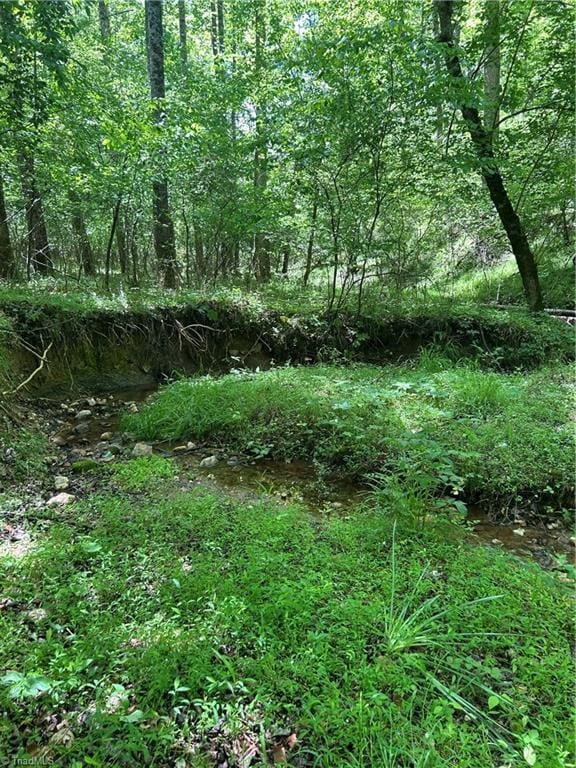2226/2234 NC-268, Pilot Mountain, NC 27041 - view of local wilderness