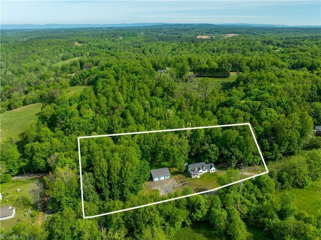 2226/2234 NC-268, Pilot Mountain, NC 27041 - aerial overview of property's location with a forest and property boundaries highlighted