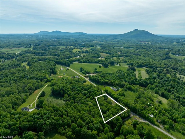 2226/2234 NC-268, Pilot Mountain, NC 27041 - aerial view of property and surrounding area with property boundaries highlighted and a mountain backdrop