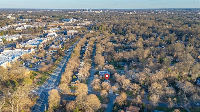 bird's eye view