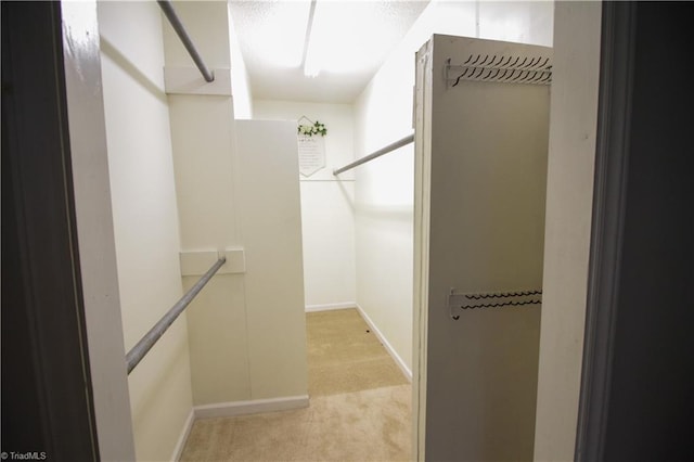 spacious closet featuring light colored carpet