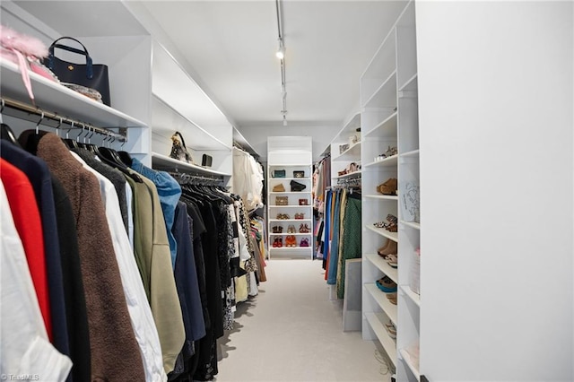 view of walk in closet