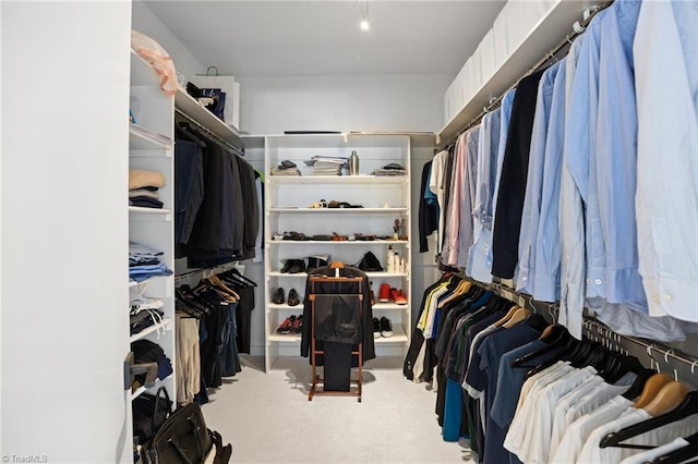 spacious closet with carpet floors