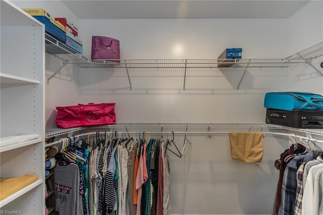 view of spacious closet