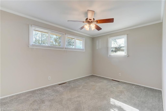 carpeted spare room featuring ceiling fan and ornamental molding