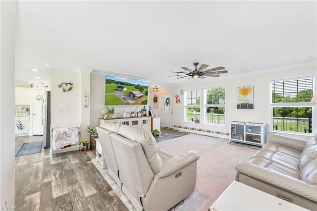 214 Mining Ridge Church Rd, Elkin, NC 28621 - living area featuring ornamental molding, ceiling fan, and wood finished floors