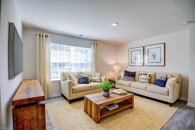 living room with hardwood / wood-style flooring