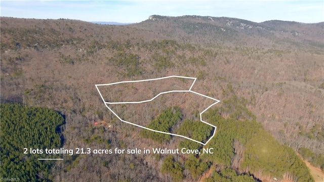 Listing photo 2 for 0 Wolf Rock Rd, Walnut Cove NC 27052