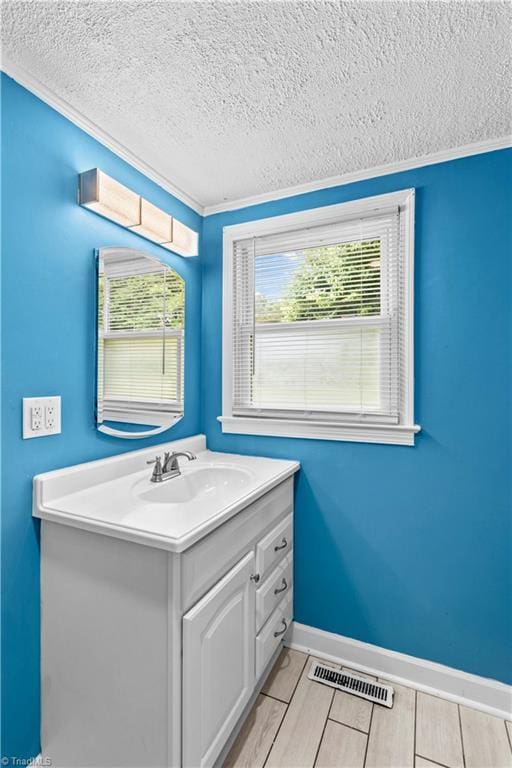 bathroom with a textured ceiling, healthy amount of natural light, vanity, baseboards, and ornamental molding