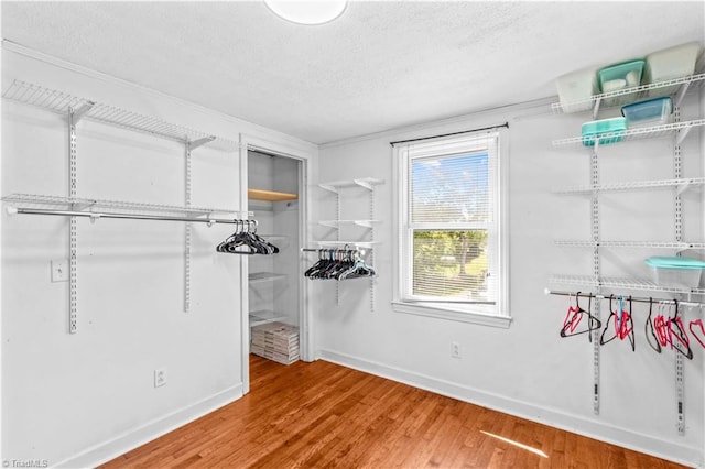 walk in closet featuring wood finished floors