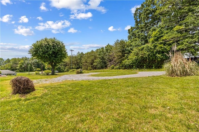 view of home's community featuring a lawn