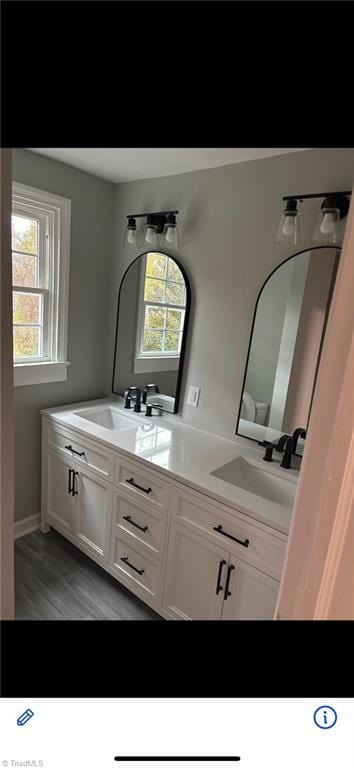 bathroom featuring vanity, wood-type flooring, and a wealth of natural light