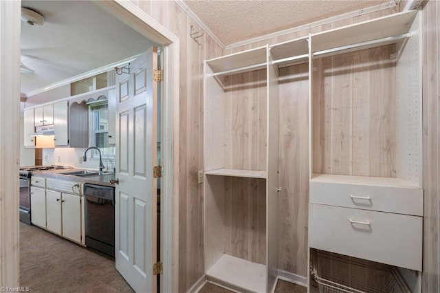 1553 Carson Rd, Pilot Mountain, NC 27041 - spacious closet featuring a sink