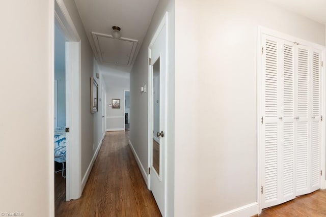 hallway with hardwood / wood-style flooring