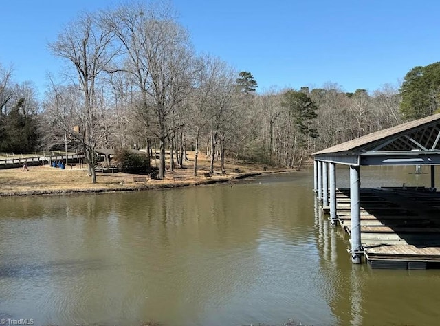 dock area with a water view