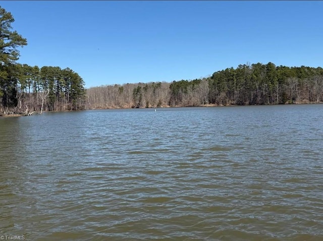 view of water feature featuring a forest view