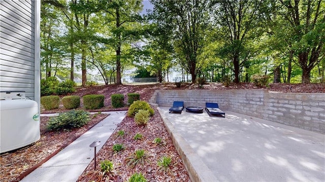 view of yard featuring a patio area