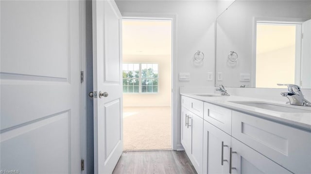 bathroom with vanity and hardwood / wood-style flooring